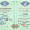 Приложение к диплому ВУЗ Казахстан